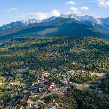 Artemis Villa Pétra