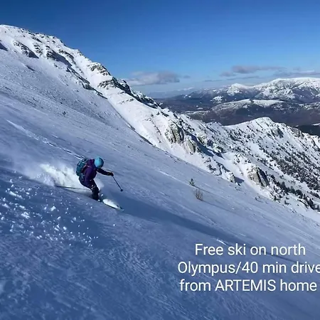 فيلة Artemis *