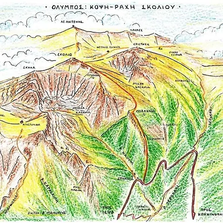 Villa Artemis Pétra